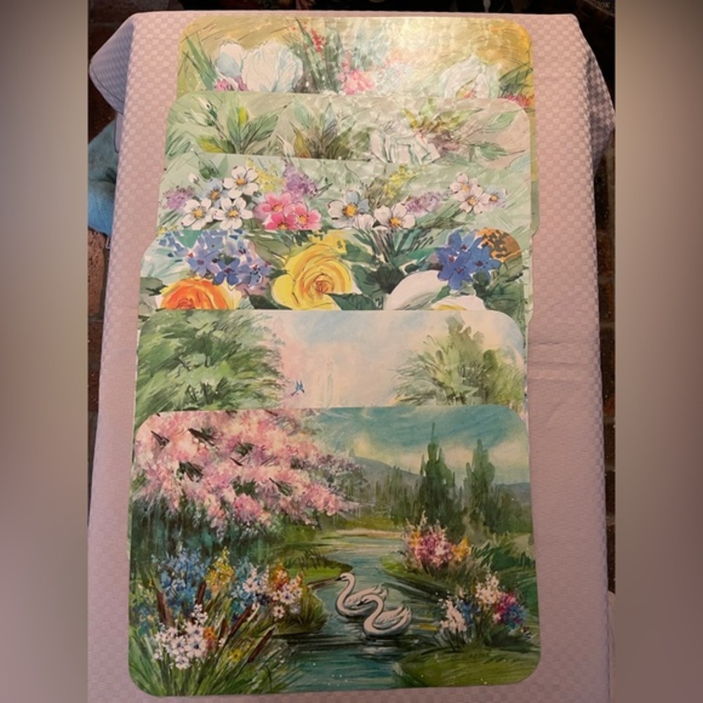 Vintage reusable country cottage/floral 15” x10” placemats by G. Galian in box.